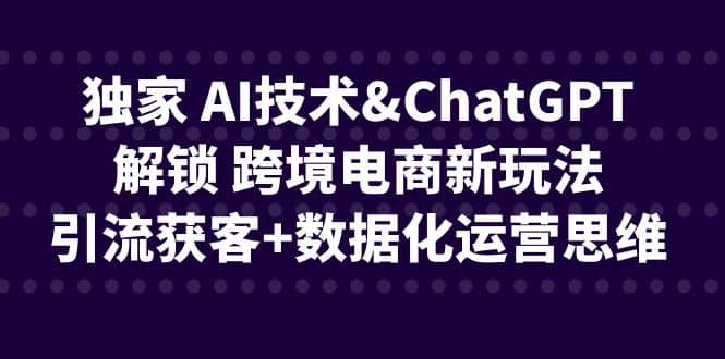 独家 AI技术ChatGPT解锁 跨境电商新玩法，引流获客 数据化运营思维-上品源码网