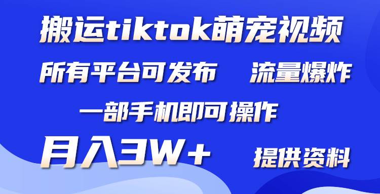 搬运Tiktok萌宠类视频，一部手机即可。所有短视频平台均可操作，月入3W+-上品源码网